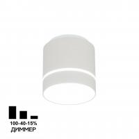 Потолочный светодиодный светильник Citilux Борн CL745010N