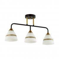 Потолочная люстра LUMION NETTIE 5214/3CA