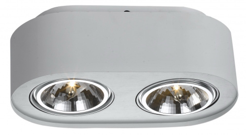 Встраиваемый светильник Arte Lamp CLIFF A5643PL-2WH
