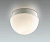 Накладной светильник Odeon Light IZAR 2443/1A