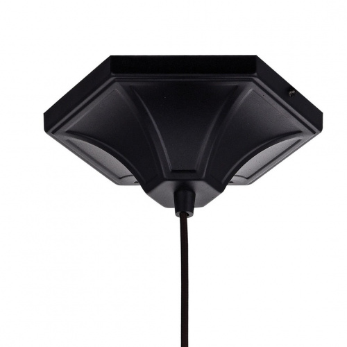 Подвесной светильник FAVOURITE Septum 2038-1P