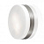 Настенно-потолочный светильник Odeon Light PRESTO 2405/1C
