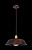 Подвесной светильник MAYTONI Pail T027-01-R