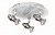 Спот Lucide JEO-LED 10922/15/12