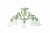 Потолочная люстра ST Luce SL145 SL145.502.05