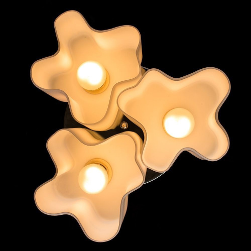 Потолочный светильник Arte Lamp SERENATA A3479PL-3CC