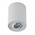 Потолочный светильник Crystal Lux CLT 410 CLT 410C WH