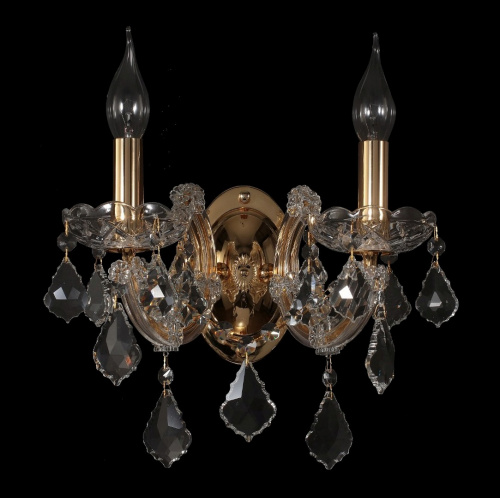 INES AP2 GOLD/TRANSPARENT купить не дорого