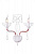Бра Arte Lamp ARTEFACT A3225AP-2WH