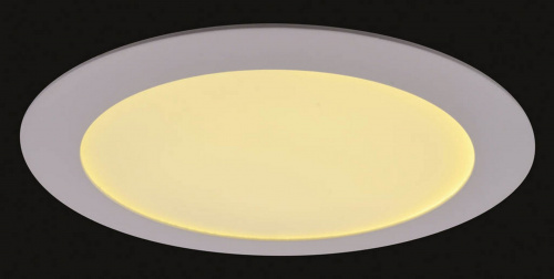 Светодиодный встраиваемый светильник Arte Lamp FINE A2620PL-1WH