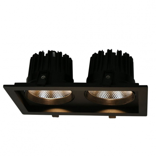 Светодиодный встраиваемый светильник Arte Lamp PRIVATO A7018PL-2BK