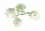 Потолочная люстра LUMION FLORANA 3002/3C Потолочная люстра LUMION FLORANA 3002/3C купить по низкой цене