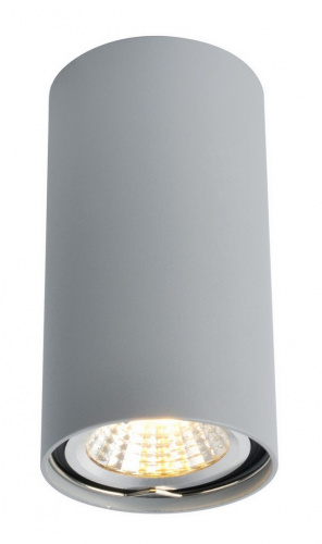 Накладной светильник Arte Lamp UNIX A1516PL-1GY