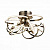Светодиодная потолочная люстра ST Luce SL922 SL922.202.15