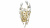 Светодиодное бра Lightstar ISABELLE 791612 791612 купить не дорого