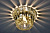 Встраиваемый светильник Arte Lamp BRILLIANTS A8503PL-1CC