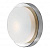 Настенно-потолочный светильник Odeon Light HOLGER 2746/1C