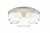 Светодиодная потолочная люстра ST Luce Ovale SL546.502.03