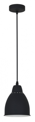 Подвесной светильник Arte Lamp BRACCIO A2054SP-1BK