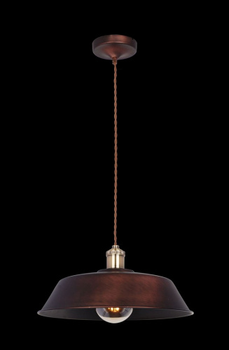 Подвесной светильник MAYTONI Pail T027-01-R