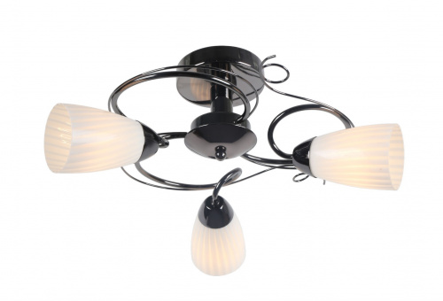 Потолочный светильник Arte Lamp ALESSIA A6545PL-3BC