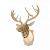 Бра FAVOURITE Cervus 2009-1W