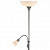Торшер для чтения Odeon Light Trend 2711/F
