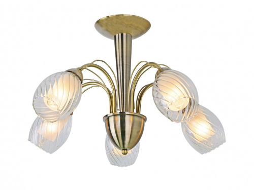 Потолочная люстра Arte Lamp TEMPESTA A1673PL-5AB купить по низкой цене