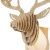 Бра FAVOURITE Cervus 2009-1W 2009-1W купить не дорого