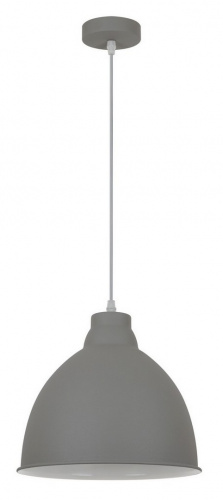 Подвесной светильник Arte Lamp BRACCIO A2055SP-1GY