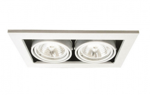 Светильник Arte Lamp Technika A5930PL-2WH