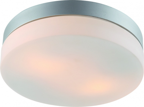 Накладной светильник Arte Lamp AQUA A3211PL-2SI