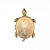 Настенный светильник FAVOURITE Turtle 2254-1W