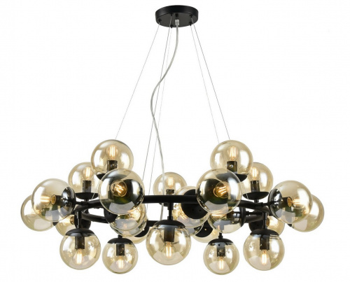 Подвесной светильник Arte Lamp BOLLA A1664SP-25BK