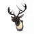 Бра FAVOURITE Cervus 2010-1W
