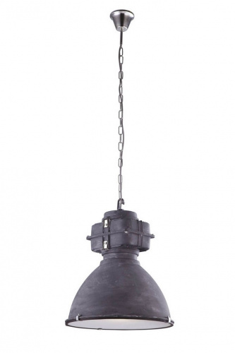 Подвесной светильник Arte Lamp LOFT A5014SP-1BG