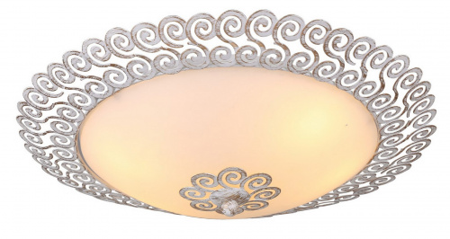 Потолочный светильник Arte Lamp FLEECE A4554PL-2WG