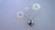 Бра ST Luce SL217 SL217.101.02