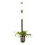 Настенный светильник Odeon Light Flower 4681/2WA