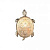 Настенный светильник FAVOURITE Turtle 2256-1W