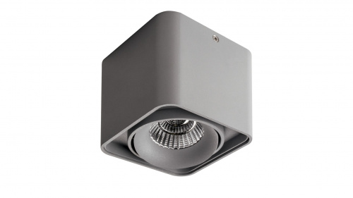 Накладной светильник Lightstar Monocco 212519