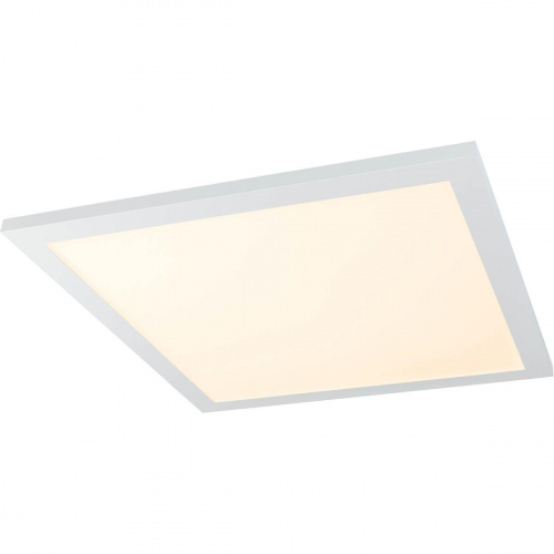 Потолочный светодиодный светильник Globo Rosi 41604D2SH