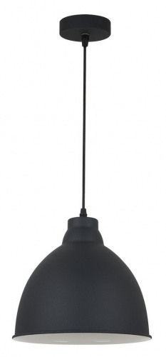 Подвесной светильник Arte Lamp BRACCIO A2055SP-1BK