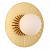 Настенный светильник FAVOURITE Sonnenblume 2356-1W