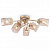 Потолочная люстра Freya Isabella FR5095CL-06G