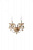 Бра ST Luce Ricadi SL640.201.02