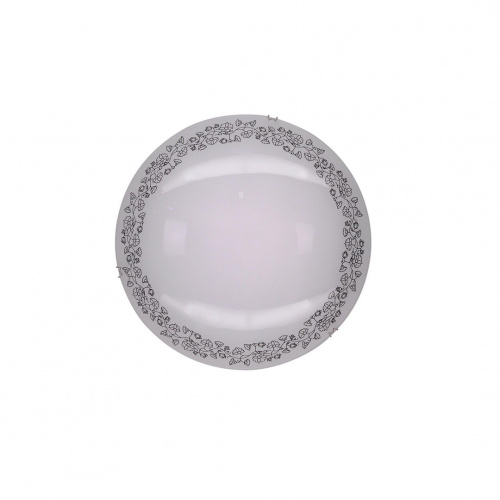 Светодиодный настенно-потолочный светильник CITILUX Вьюнок CL917010