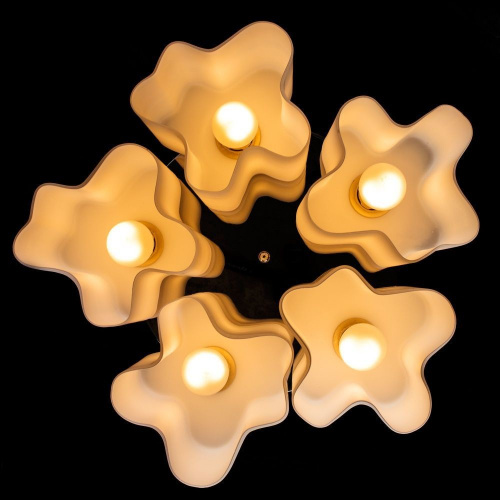 Потолочная люстра Arte Lamp SERENATA A3479PL-5CC купить по низкой цене