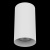 Накладной светильник Lightstar Rullo 216486 Накладной светильник Lightstar Rullo 216486