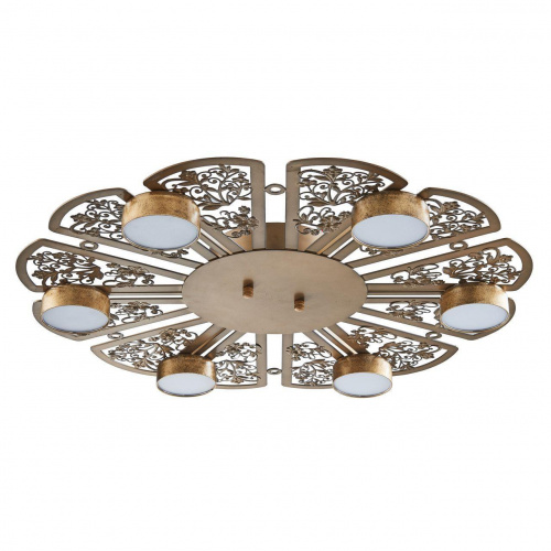 Светодиодная потолочная люстра Favourite Ornamentum 2604-6C купить по низкой цене